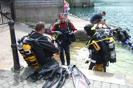 Image result for Wyndley NSC Snorkelling Club