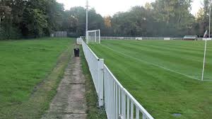 Image result for Welwyn Garden City Panshanger Football Club