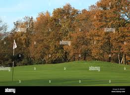 Image result for Royal Wimbledon Golf Club