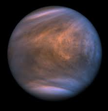 Image result for venus