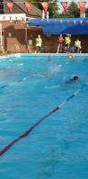 Image result for Chesham Swimming Club