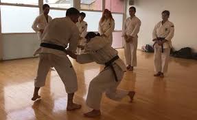 Image result for Holboln Shorinji Kempo Club