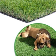 Image result for Astroturf