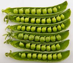 Peas vegetable
