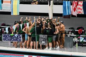 Image result for Cleveland Divers