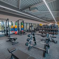 Image result for Wiltshire School Of Gym