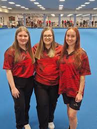 Image result for Port Talbot Indoor Bowls Club