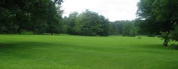 Image result for King George Field Indoor Bowls Club