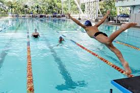 Image result for BRIGHOUSE SWIMMING CLUB