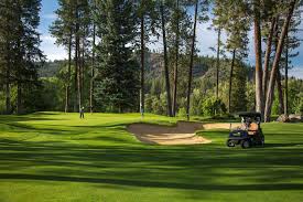 Image result for Amber Valley Gc