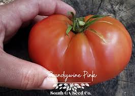 Afbeeldingsresultaat voor Pink Brandywine tomato