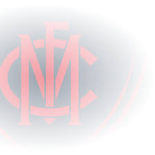 Image result for Melbourne United Football Club