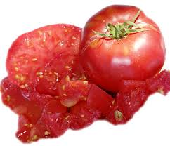 Afbeeldingsresultaat voor crnkovic yugoslavian tomato