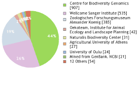 Attēlu rezultāti vaicājumam “Eupteryx vittata”