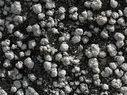 Attēlu rezultāti vaicājumam “Pertusaria amara”