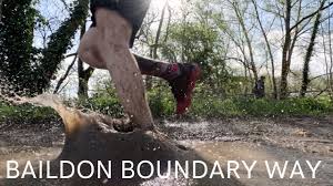 Image result for Baildon Runners