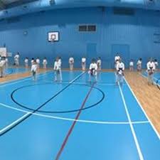 Image result for Junsui Shotokan Karate Do