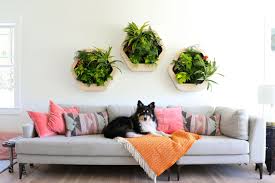 Image result for living wall