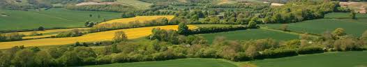 Image result for North Dorset