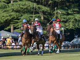 Image result for Cirencester Park Polo Club