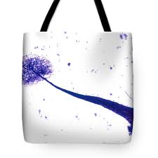 Attēlu rezultāti vaicājumam “Comatricha elegans”