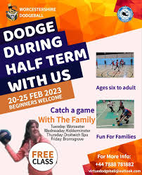 Image result for Bewdley Virtue Dodgeball Club