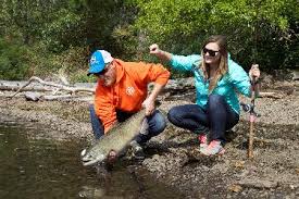 Image result for Oncorhynchus tshawytscha