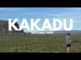 Billedresultat for kakadu n...