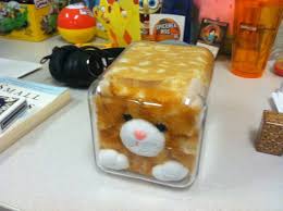 Kuvahaun tulos haulle bonsaikitten