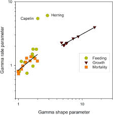 Image result for Myzopsetta ferruginea