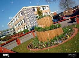 Image result for Hazel Grove