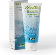 Attēlu rezultāti vaicājumam “Diderma spumarioides sessile”