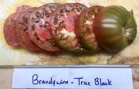Afbeeldingsresultaat voor black brandywine tomato
