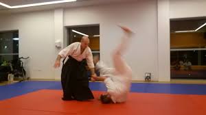 Image result for Aikido - Shobu UK