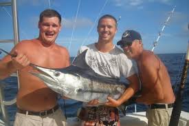 Image result for Kajikia albida