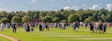 Image result for Taunton Vale Polo Club