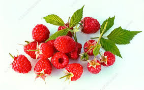 Attēlu rezultāti vaicājumam “Rubus idaeus fruit”