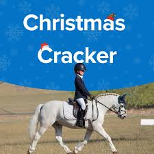 Image result for Elstead Riding Club