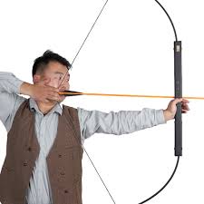 Image result for ArcheryDuns