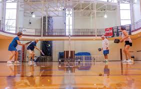 Image result for Springfields Badminton Club