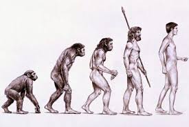 La théorie de l'évolution est fausse Images?q=tbn:ANd9GcQzQqL4m8DGbs03-VnwOCAlUpSCsPBdj6ndap5Fo20VQuYuM-p8