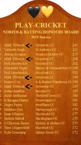 Image result for Snettisham Cc