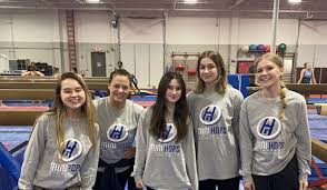 Image result for Custom Gymnastics Club