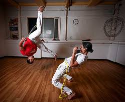 Image result for Brazilian-martial arts