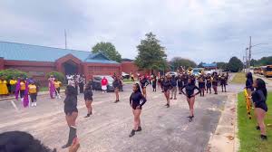 Image result for Wickford Majorettes