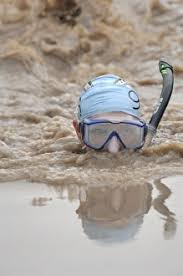 Image result for Bog Snorkelling Championships