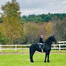 Image result for Palmers Riding Stables