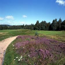 Image result for Abernethy Golf Club