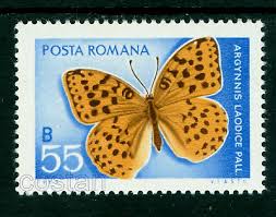 Attēlu rezultāti vaicājumam “Argynnis laodice”