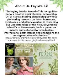 Attēlu rezultāti vaicājumam “Bryoerythrophyllum recurvirostrum sporophyte”